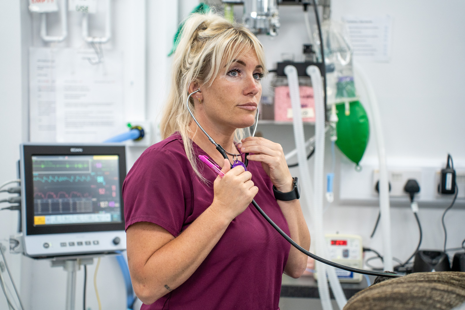 Anderson Abercromby Veterinary Referrals (Web) 024