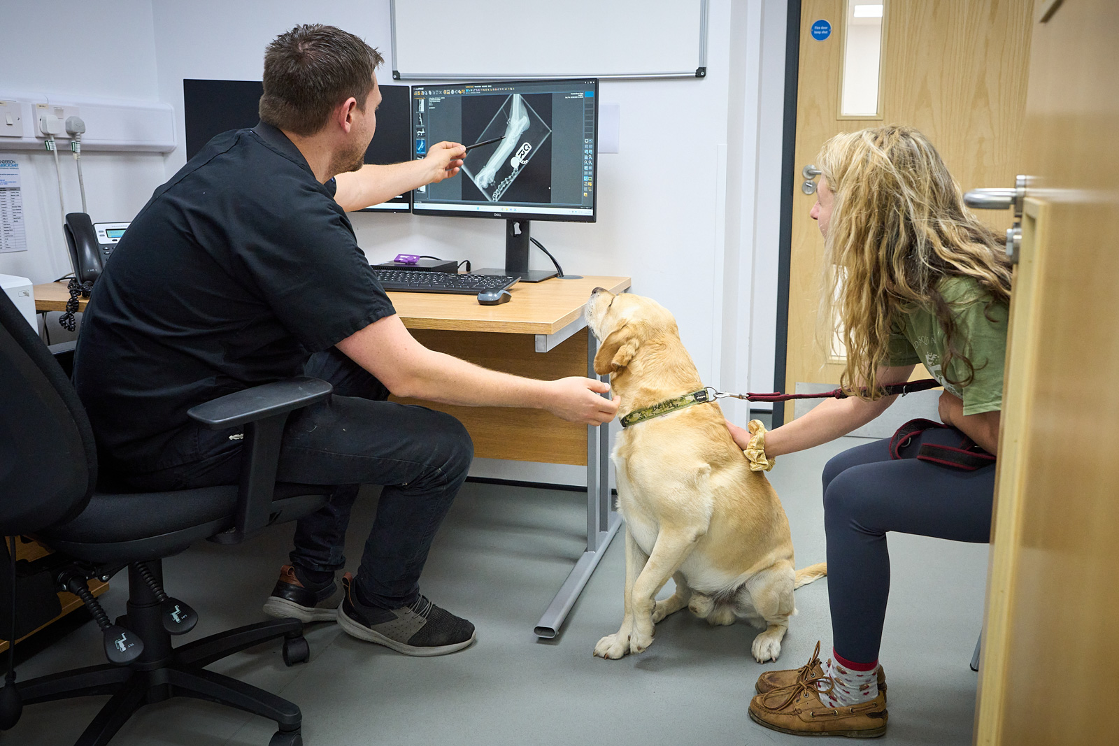 showing an x-ray to a client with her dog